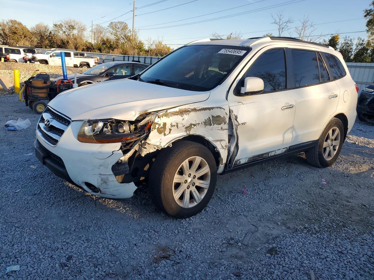 2007 Hyundai Santa fe se