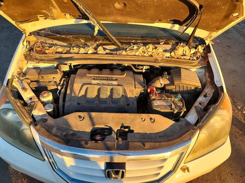 2008 Honda Odyssey exl