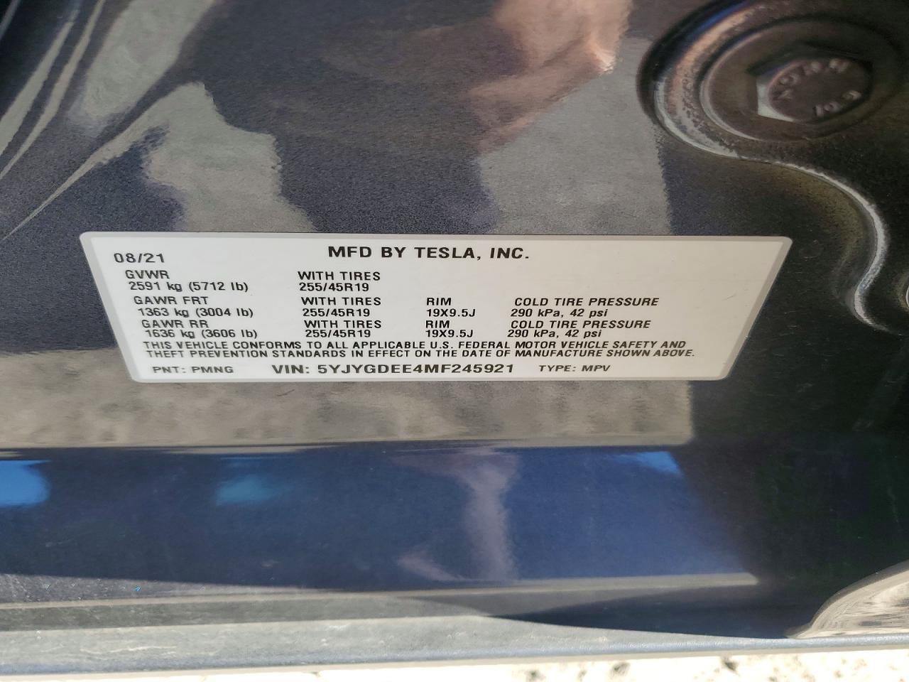 2021 Tesla Model y