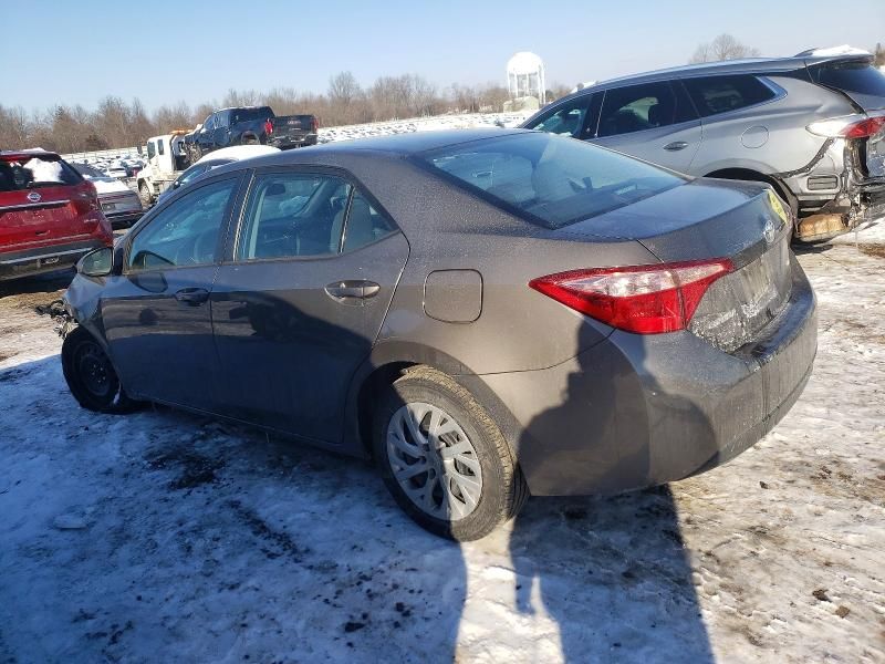 2019 Toyota Corolla l