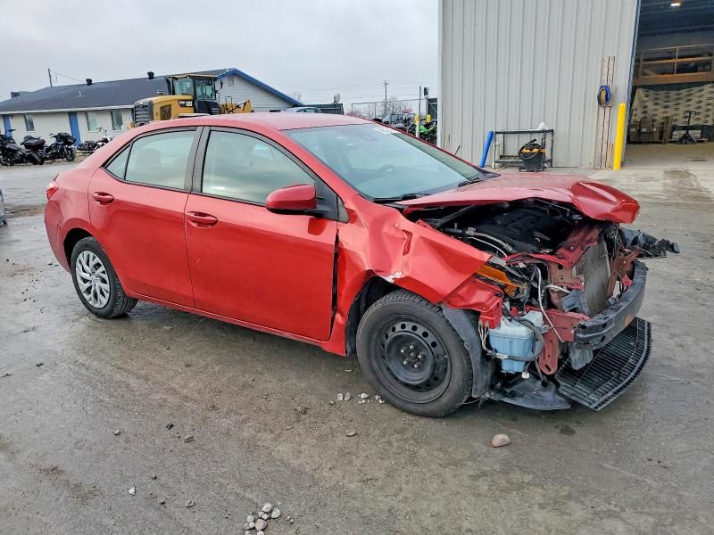 2019 Toyota Corolla l