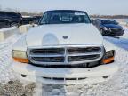 2004 Dodge Dakota SXT