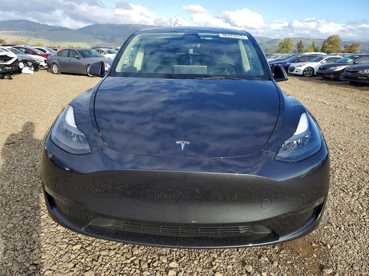 2025 Tesla Model y