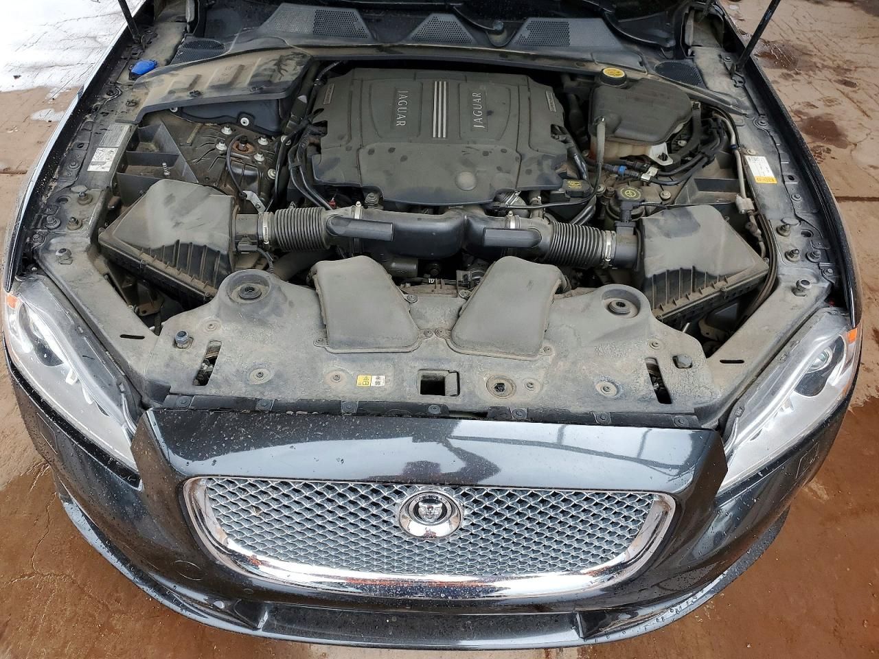 2013 Jaguar Xjl Portfolio