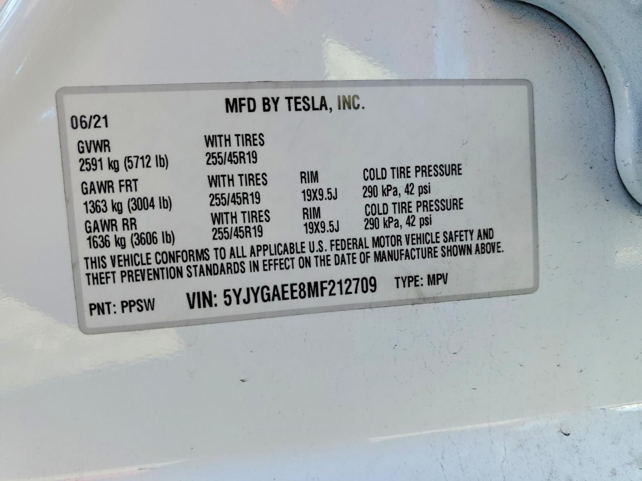 2021 Tesla Model y