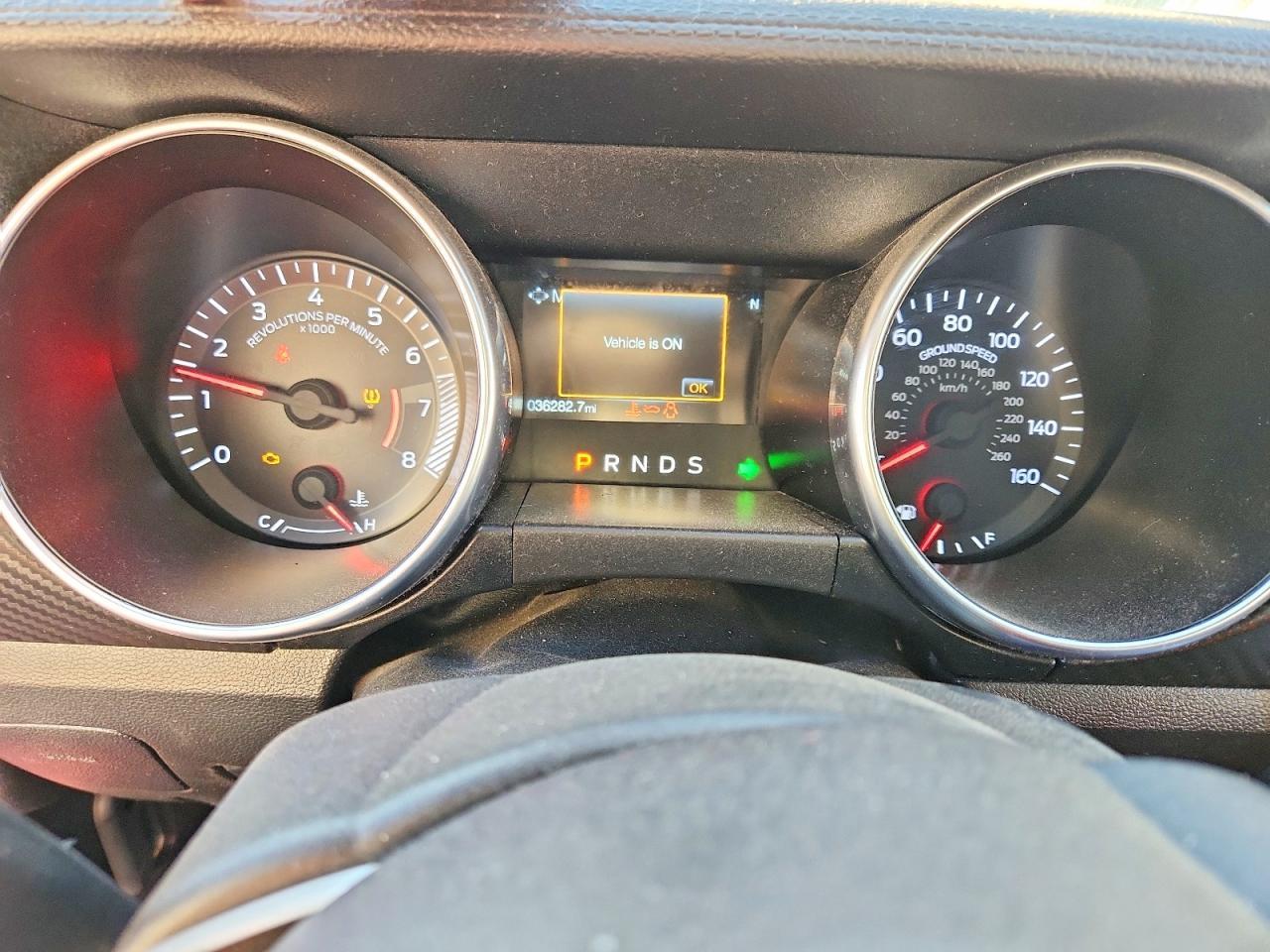 2019 Ford Mustang