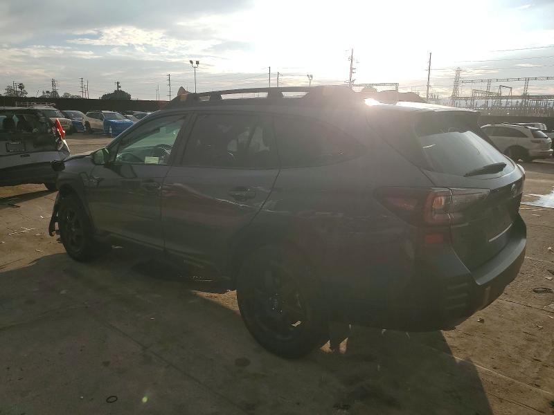 2024 Subaru Outback Wilderness