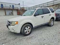 2010 Ford Escape xlt for sale in Walton, KY