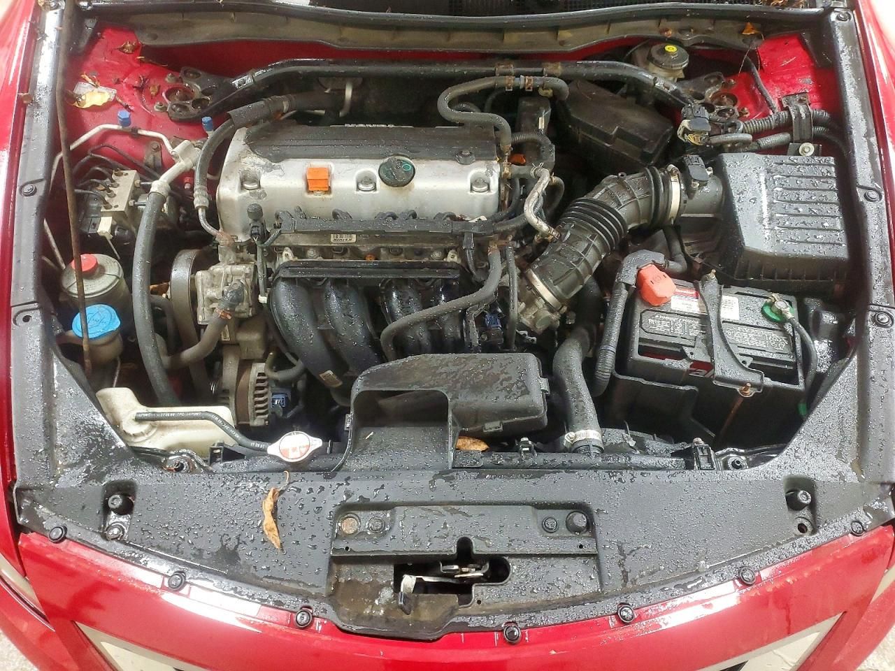 2010 Honda Accord exl