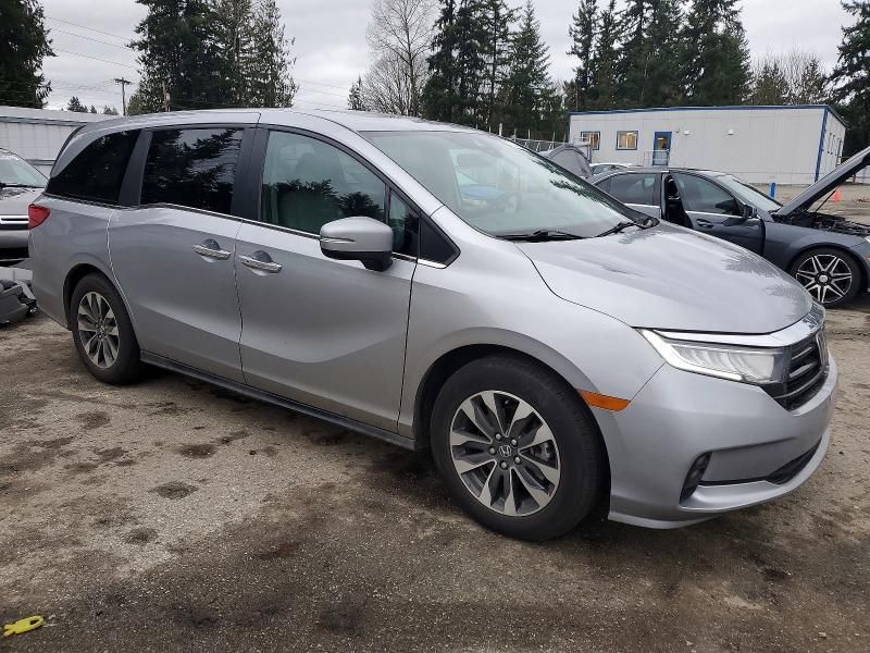 2024 Honda Odyssey exl