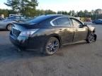 2013 Nissan Maxima s