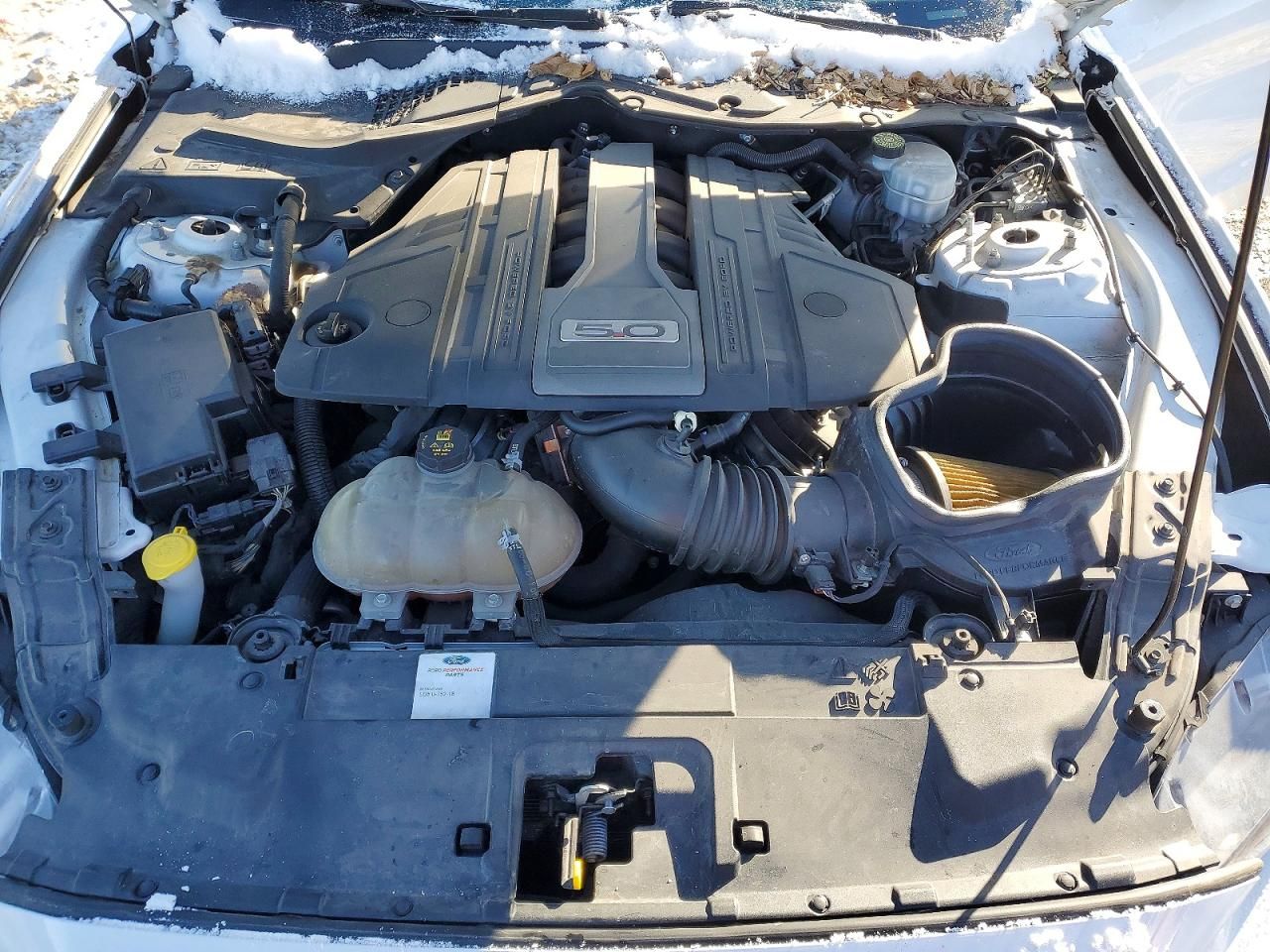 2019 Ford Mustang gt