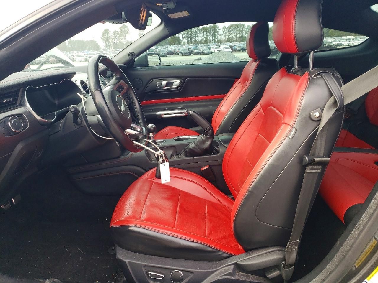 2019 Ford Mustang gt