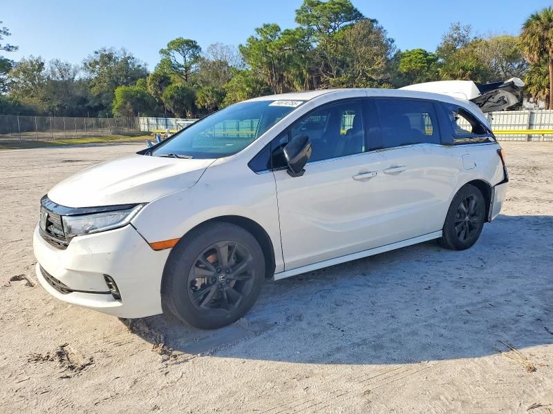 2024 Honda Odyssey Sport