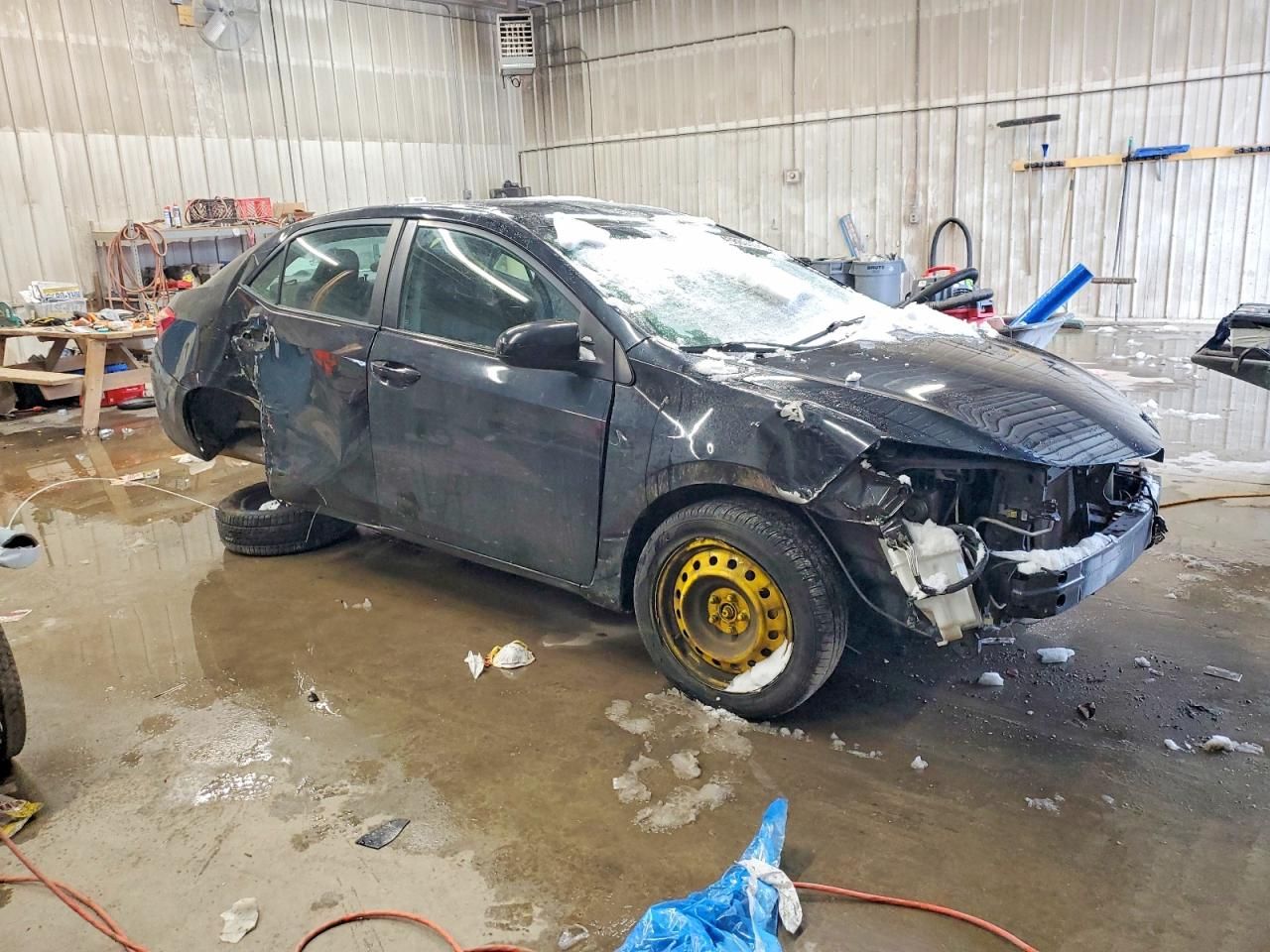 2019 Toyota Corolla l