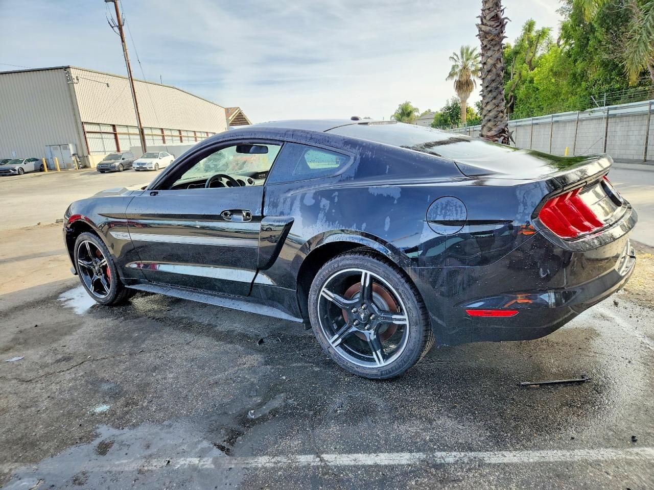 2019 Ford Mustang gt