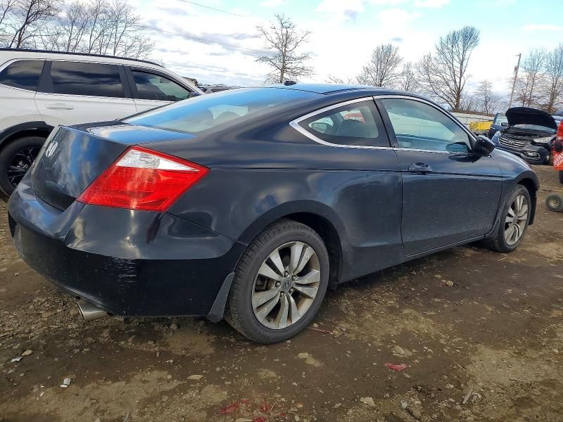 2010 Honda Accord exl