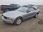 2006 Ford Mustang