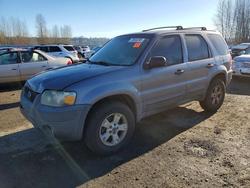 Ford Vehiculos salvage en venta: 2007 Ford Escape xlt