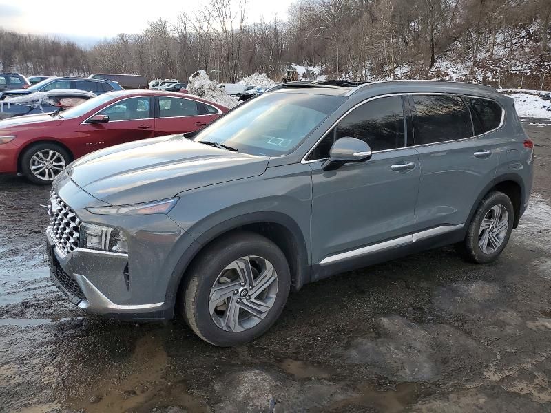 2023 Hyundai Santa fe sel Premium