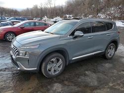 Salvage cars for sale from Copart Marlboro, NY: 2023 Hyundai Santa fe sel Premium