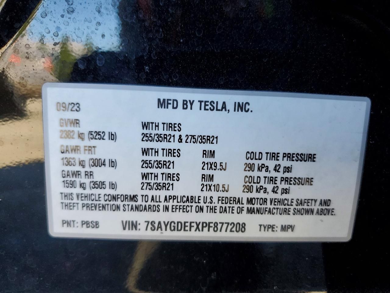 2023 Tesla Model y