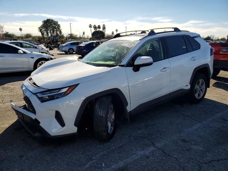 2025 Toyota Rav4 xle