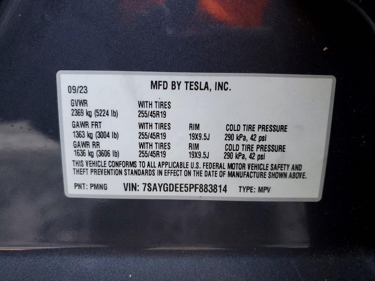 2023 Tesla Model y