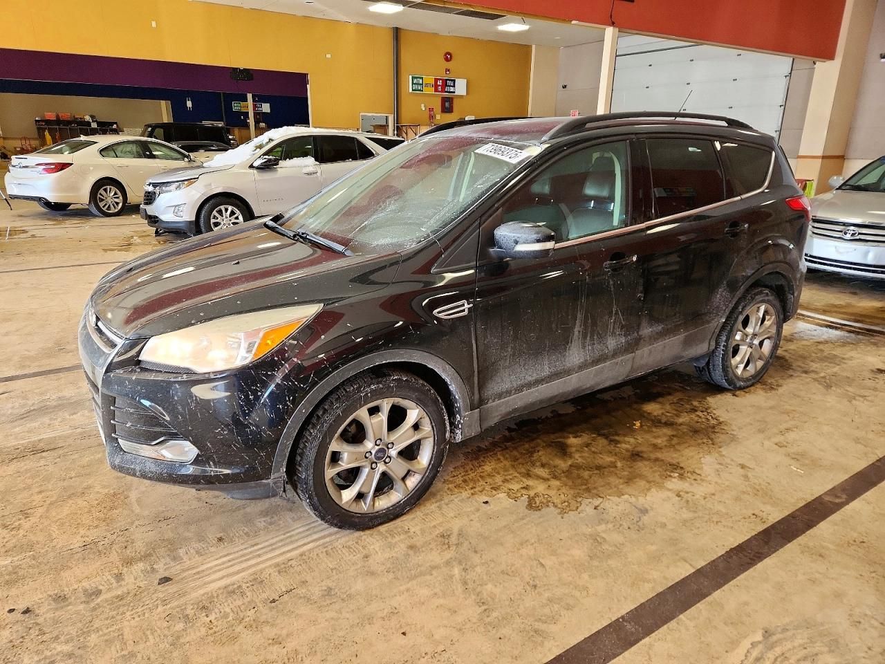 2013 Ford Escape sel