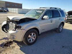 Ford Escape salvage cars for sale: 2008 Ford Escape Limited