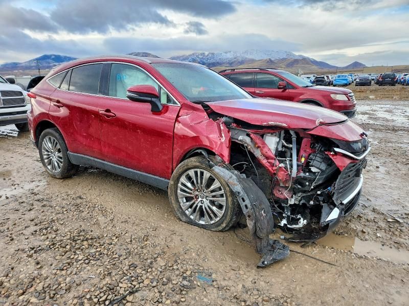 2024 Toyota Venza le