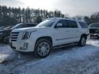 2017 Cadillac Escalade esv