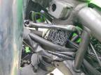 2025 Kawasaki EX500 A