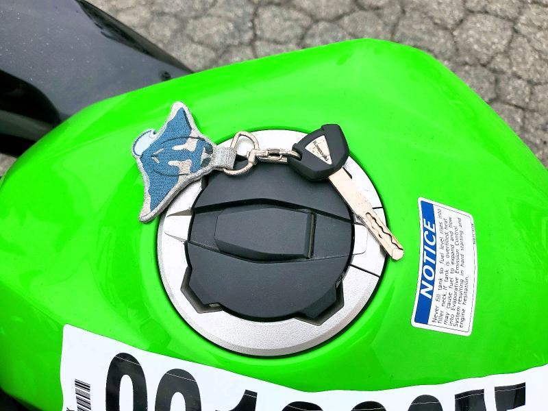 2025 Kawasaki EX500 H