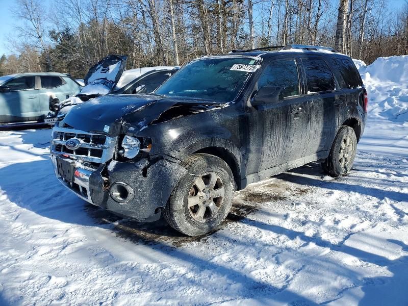 2011 Ford Escape Limited