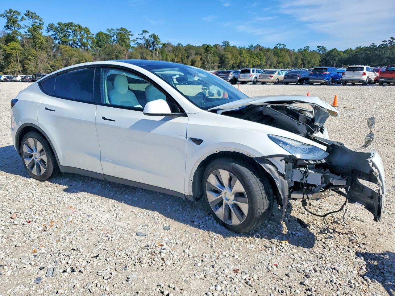 2020 Tesla Model y
