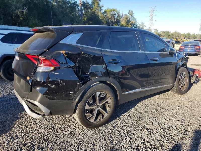 2024 KIA Sportage ex