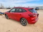 2024 Ford Escape st Line