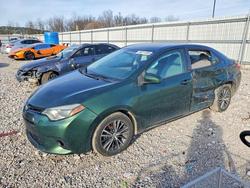 2016 Toyota Corolla l for sale in Lawrenceburg, KY