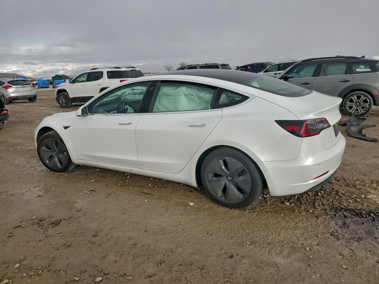 2019 Tesla Model 3