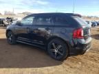 2013 Ford Edge Sport