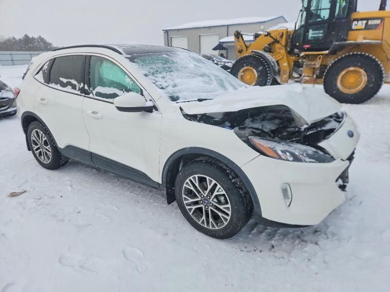 2021 Ford Escape sel