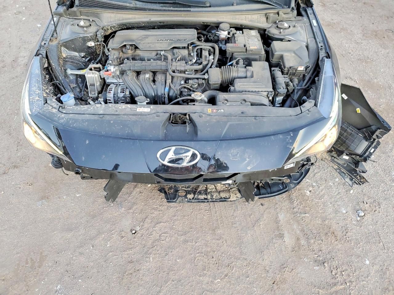 2023 Hyundai Elantra sel