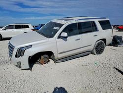 Cadillac salvage cars for sale: 2020 Cadillac Escalade Luxury