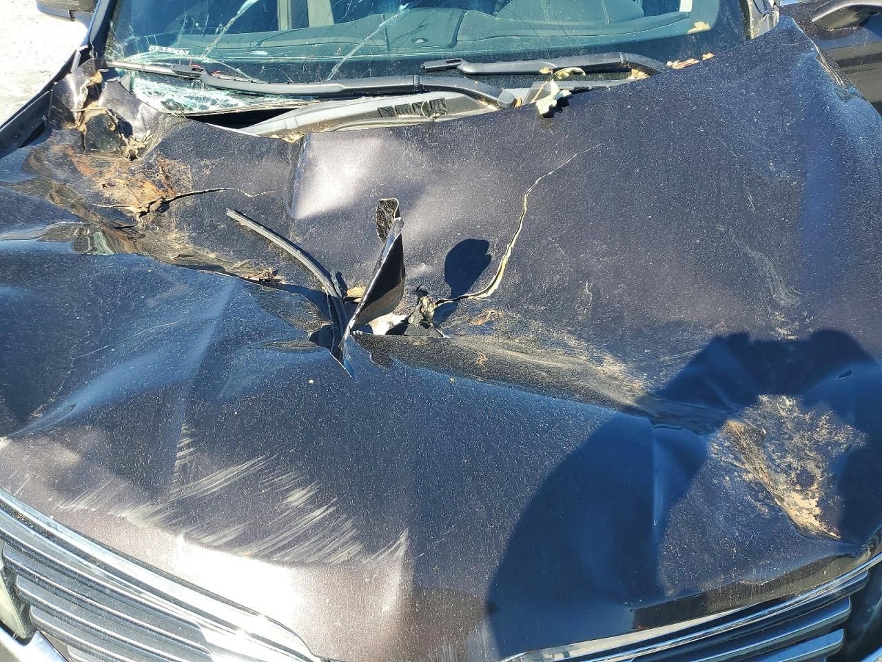 2016 Lincoln Mkx Black Label