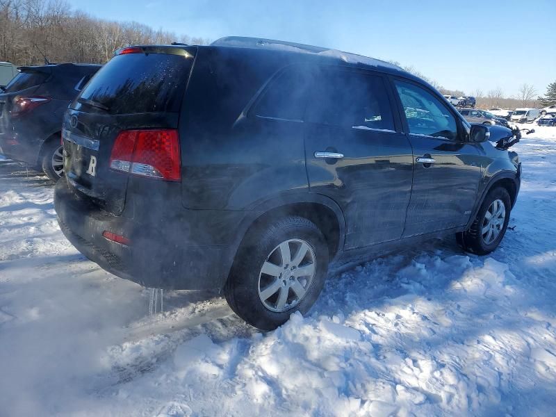2011 KIA Sorento Base