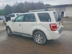 2009 Ford Escape Limited
