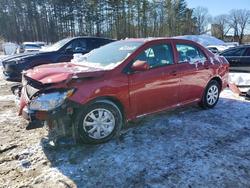 Toyota salvage cars for sale: 2010 Toyota Corolla Base