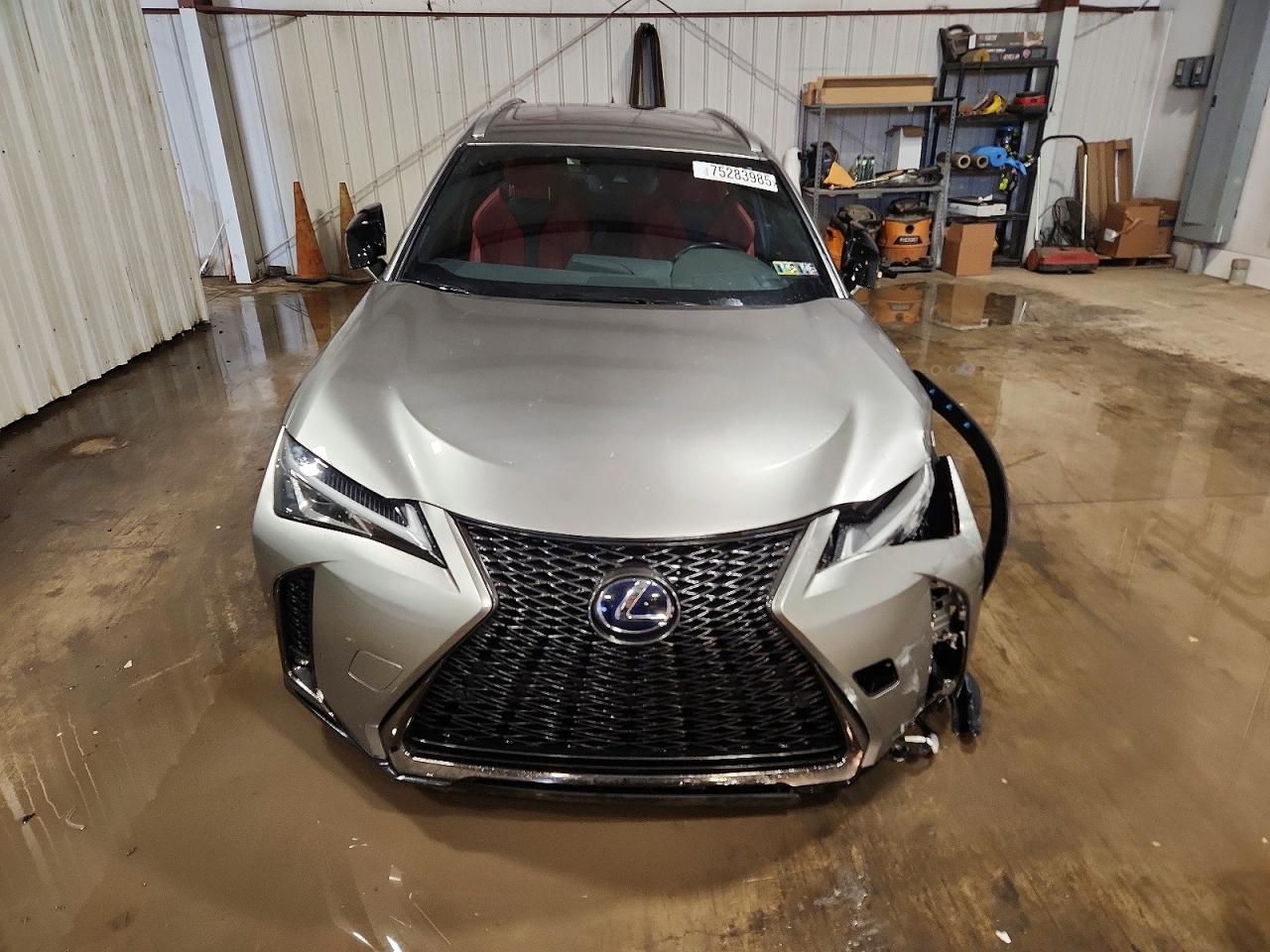2019 Lexus Ux 250h
