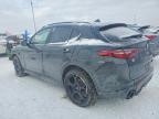2023 Alfa Romeo Stelvio ti